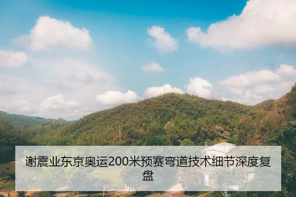 谢震业东京奥运200米预赛弯道技术细节深度复盘